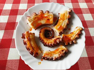 pulpo